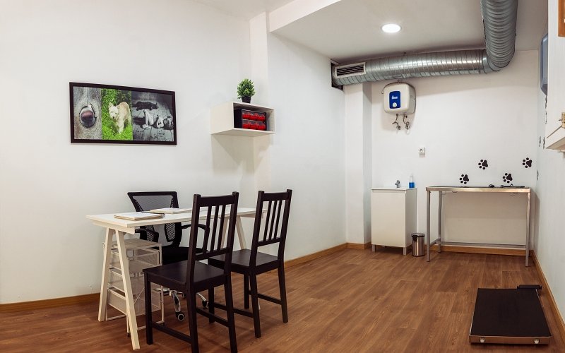 Consulta Canina Equilibrio-Coworking-Veterinario-las-Palmas-de-Gran-Canaria